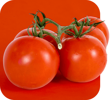Tomatoes
